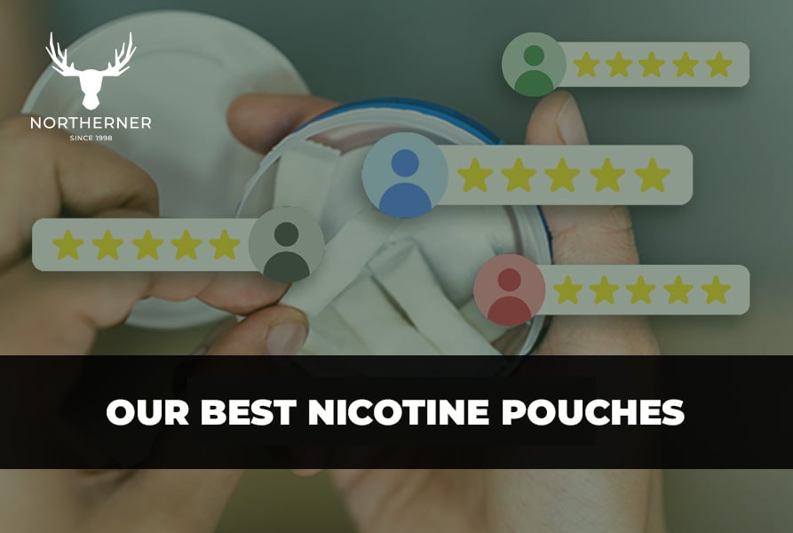 Northerner's Best Nicotine Pouches for 2024