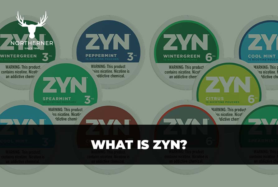 What is ZYN? The Ultimate Guide to ZYN - Northerner US