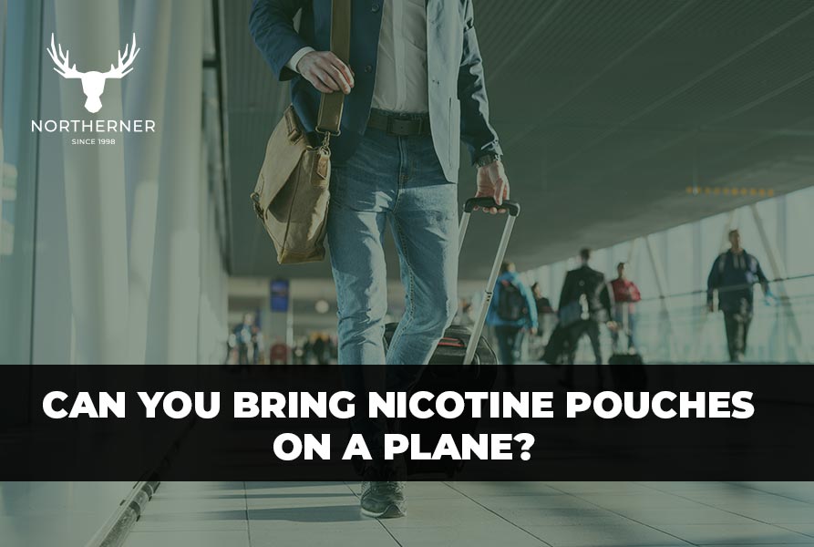 Can You Bring Nicotine Pouches On A Plane 2024 Northerner US